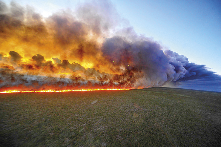 Nurturing Natural Carbon Sinks Climate2020